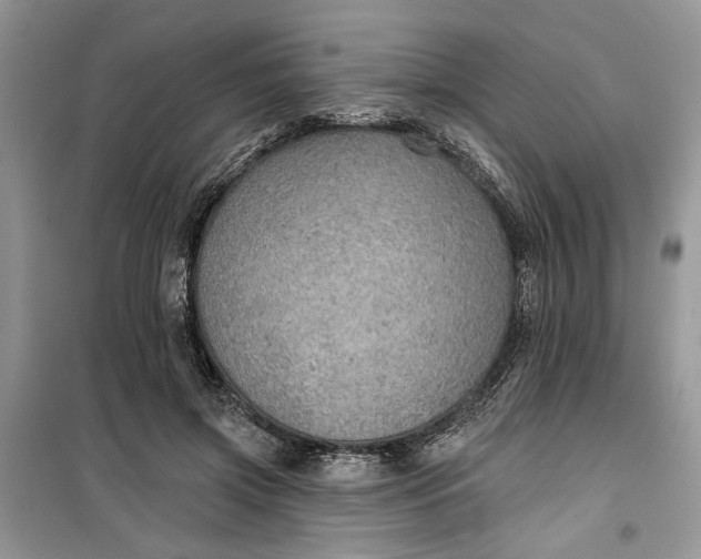 X0000099500549200805291130