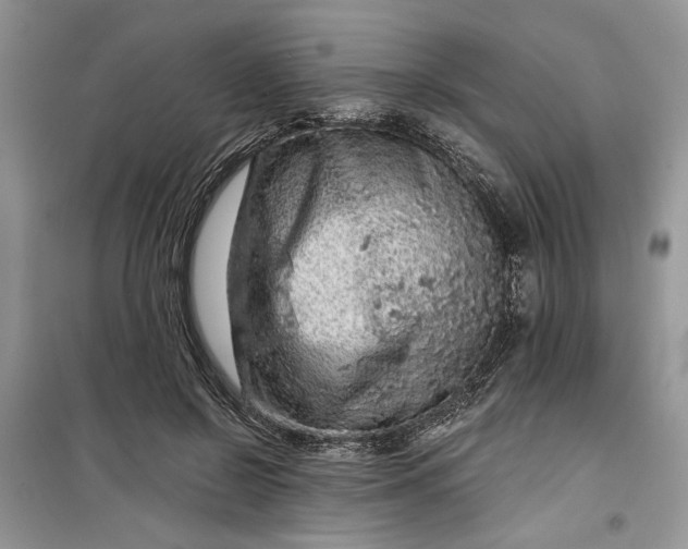 X0000099500550200805291130