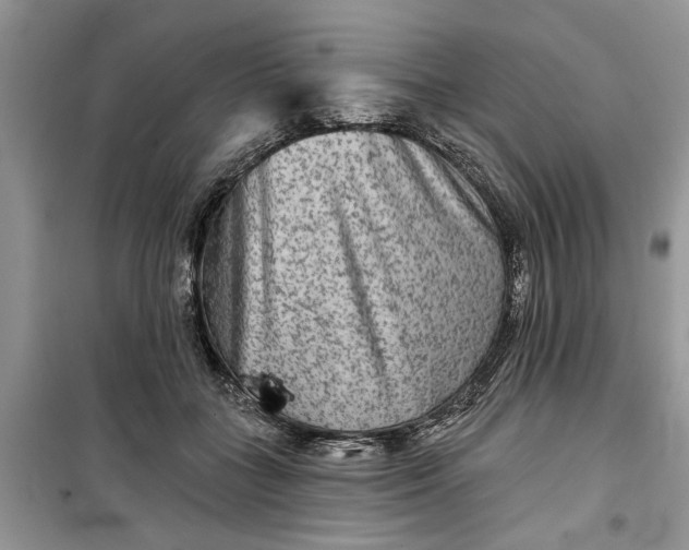 X0000099500555200805291130