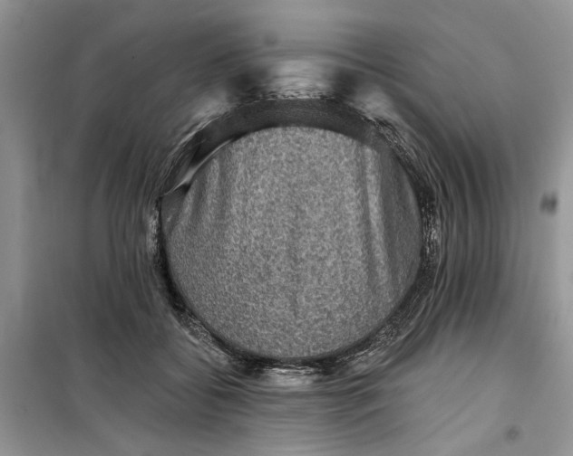 X0000099500556200805291130