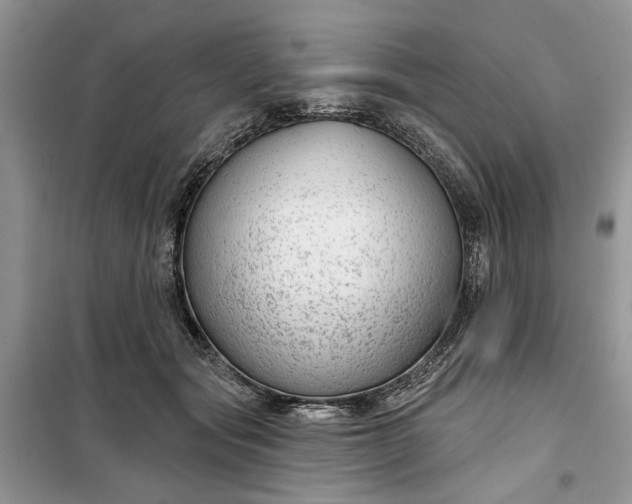 X0000099500557200805291130