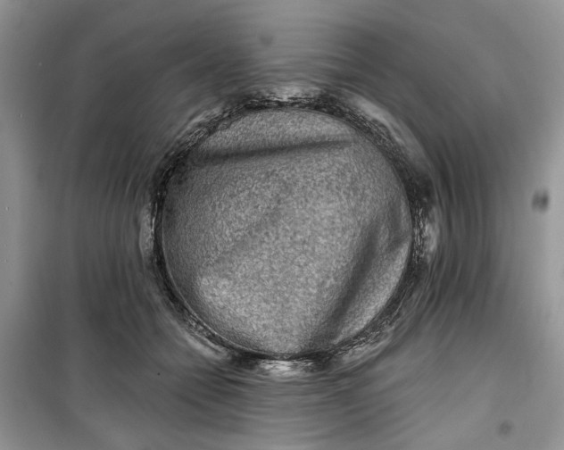 X0000099500558200805291130