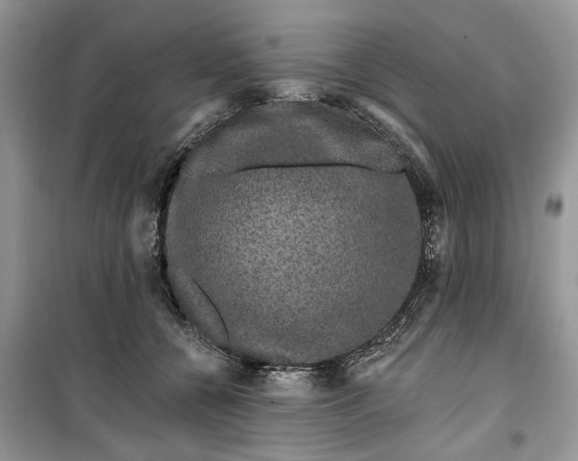 X0000099500560200805291130