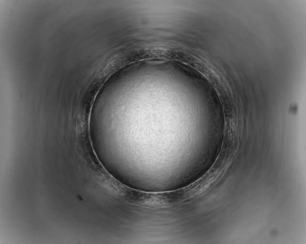 X0000099500561200805291130