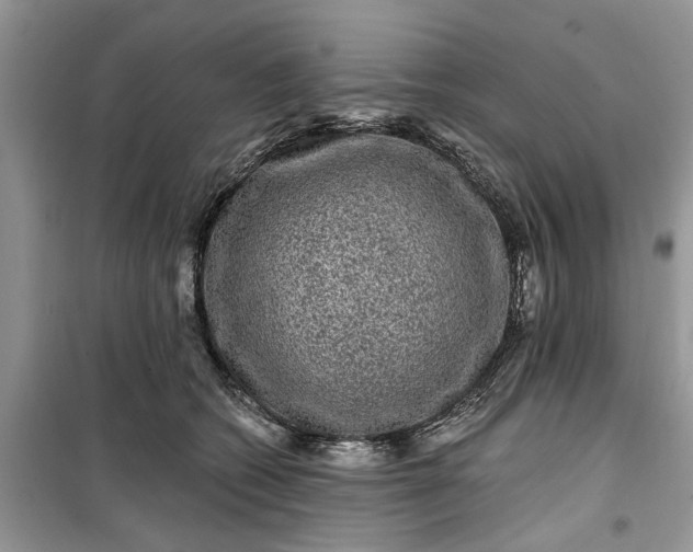 X0000099500562200805291130