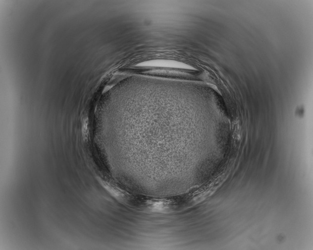 X0000099500564200805291130