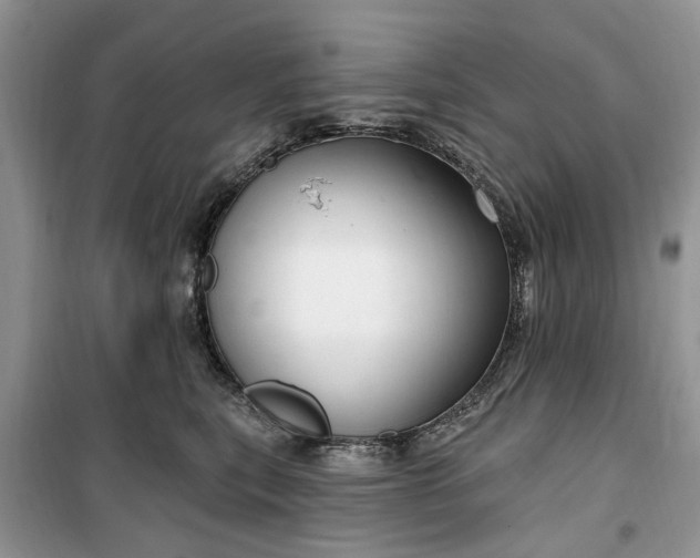 X0000099500567200805291131