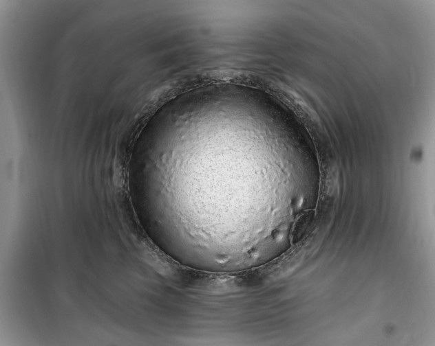 X0000099500569200805291131