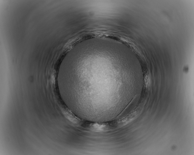 X0000099500570200805291131