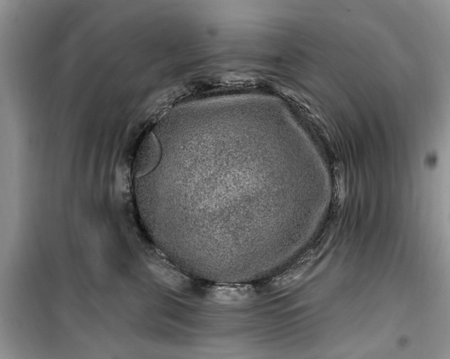 X0000099500571200805291131