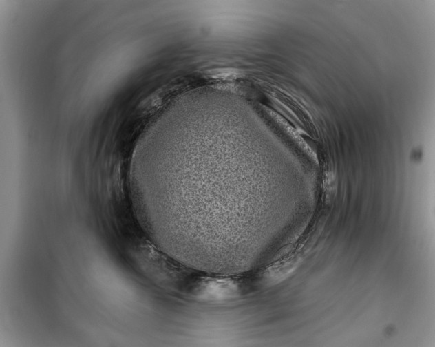 X0000099500572200805291131