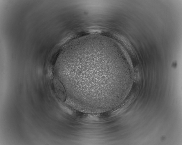 X0000099500573200805291131