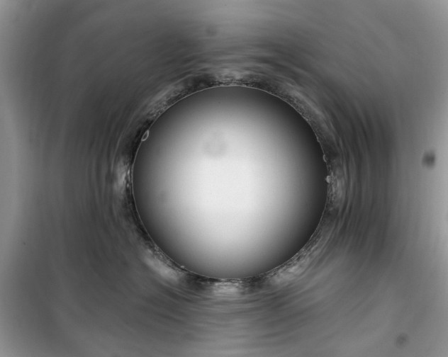 X0000099500574200805291131