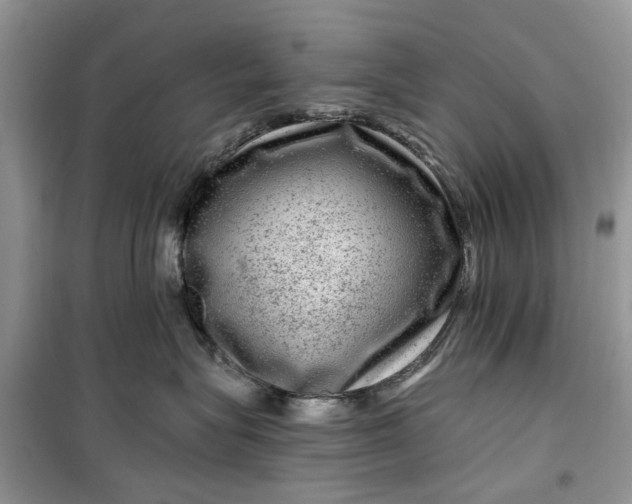 X0000099500575200805291131