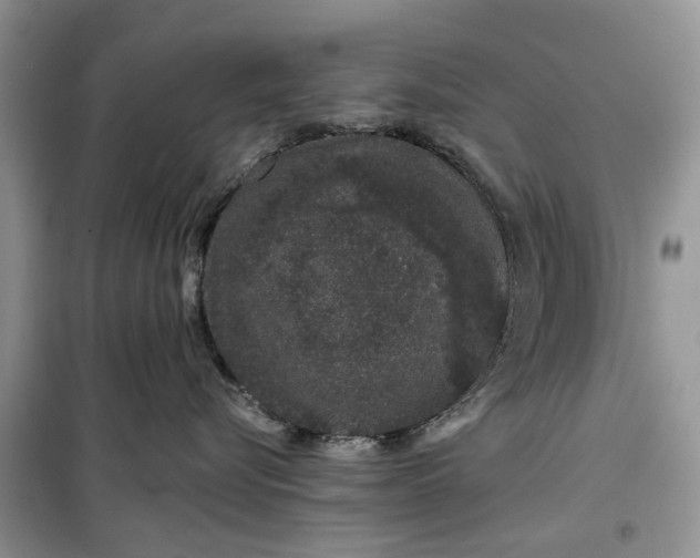 X0000099500576200805291131