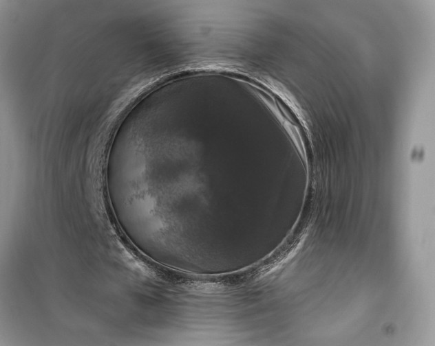 X0000099500577200805291130