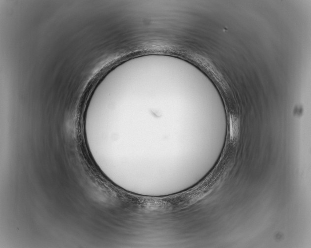 X0000099500579200805291130