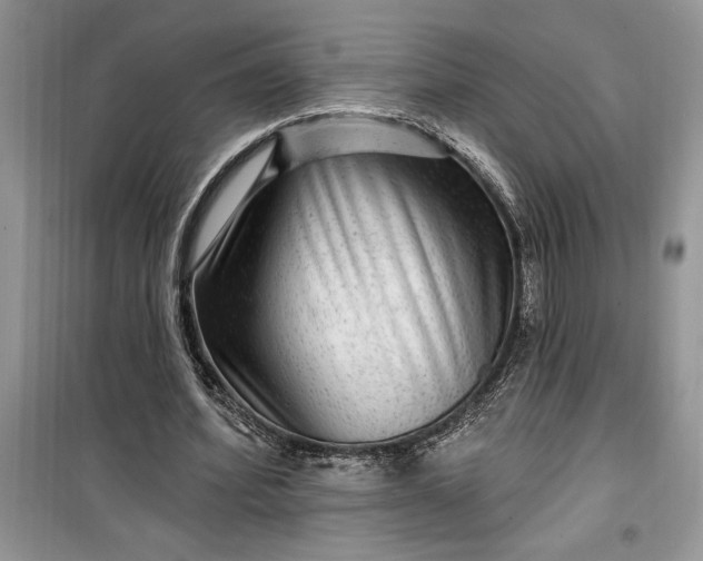 X0000099500580200805291130