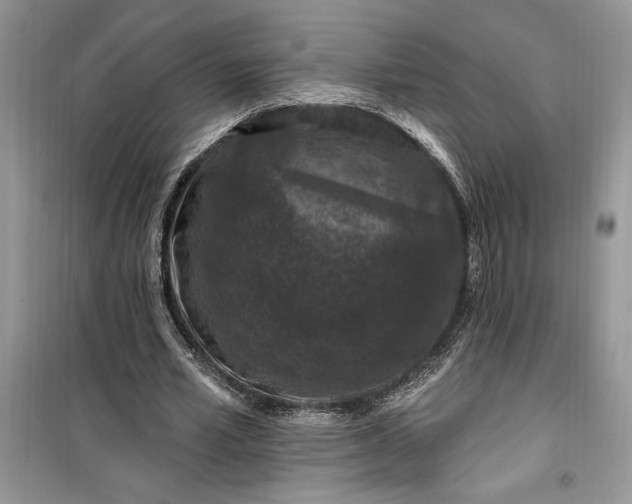 X0000099500581200805291130