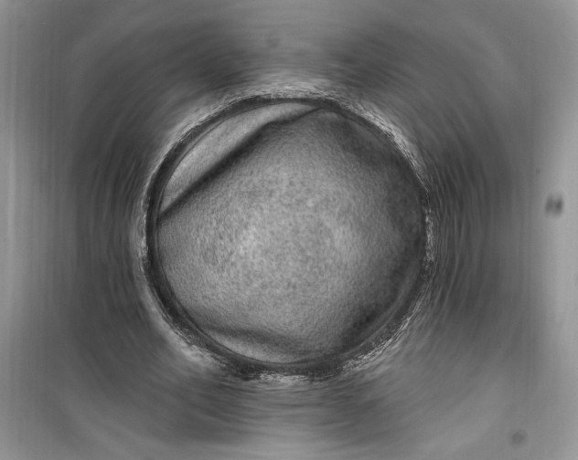 X0000099500582200805291130