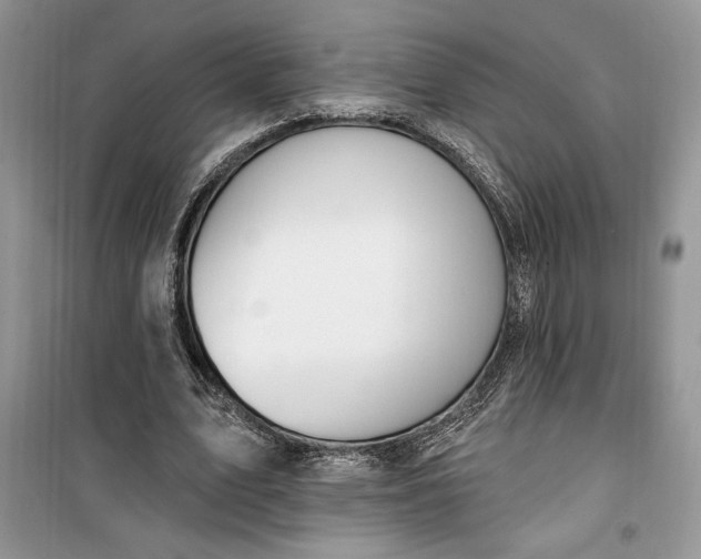 X0000099500583200805291130