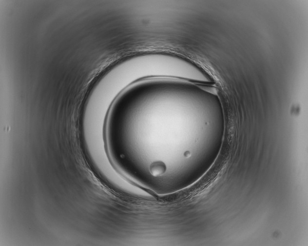 X0000099500585200805291130