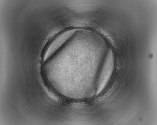 X0000099500586200805291130