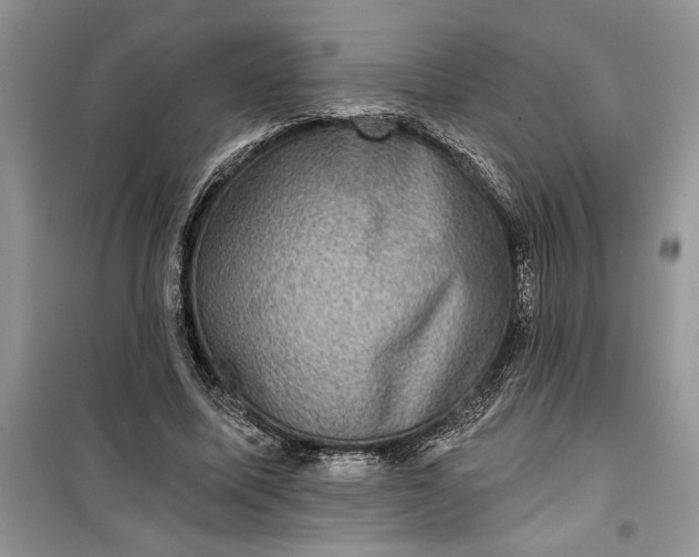 X0000099500587200805291130