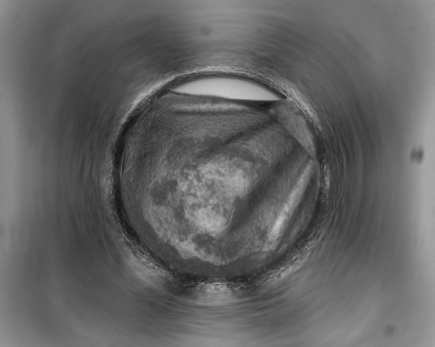 X0000099500588200805291130