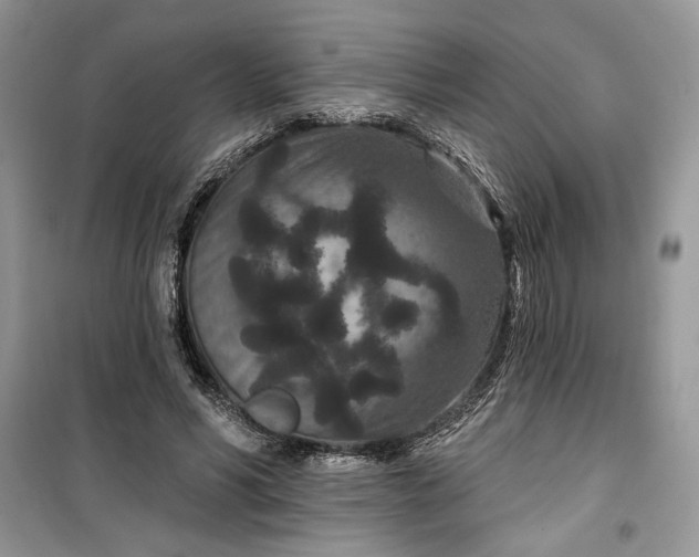 X0000099500590200805291130