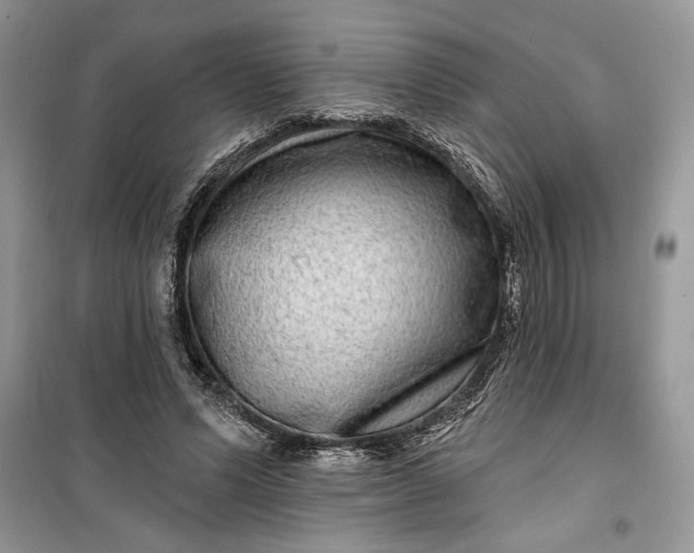 X0000099500591200805291130