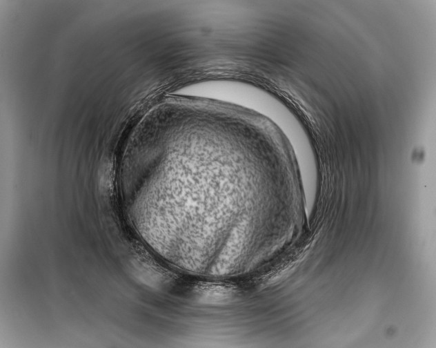 X0000099500597200805291130