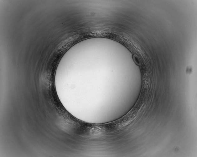 X0000099500599200805291130