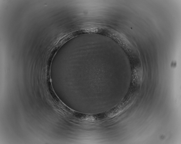 X0000099500600200805291130