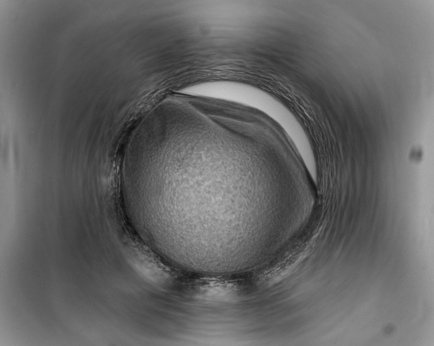 X0000099500601200805291130