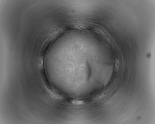 X0000099500602200805291130