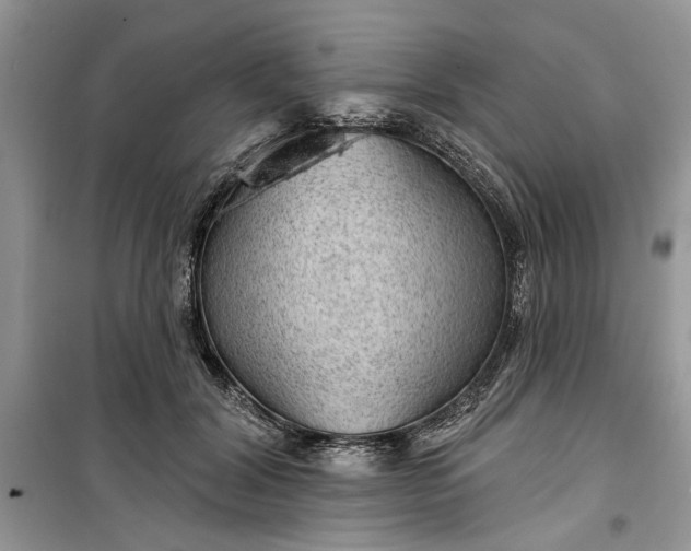 X0000099500604200805291130