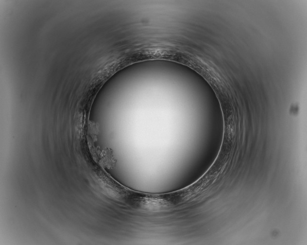 X0000099500605200805291130