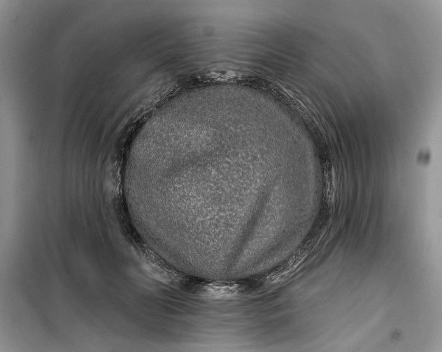 X0000099500606200805291130