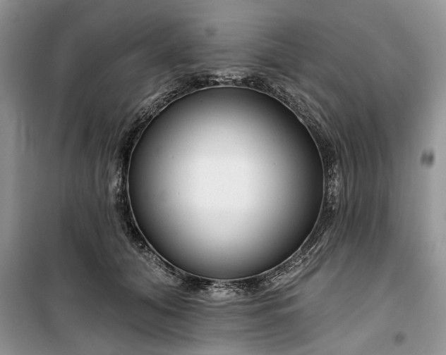 X0000099500608200805291130