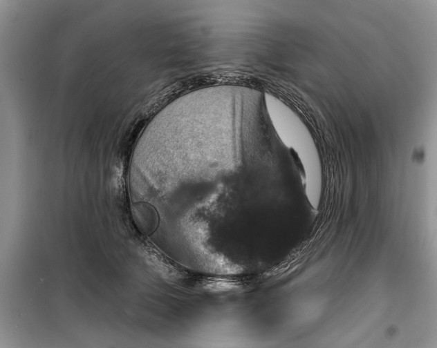 X0000099500610200805291130