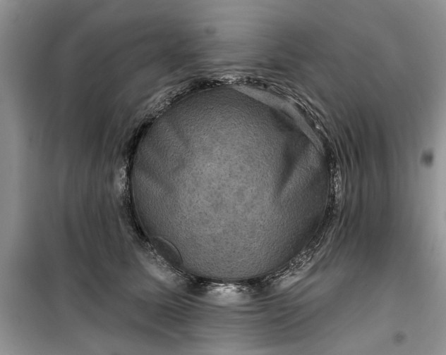 X0000099500611200805291130