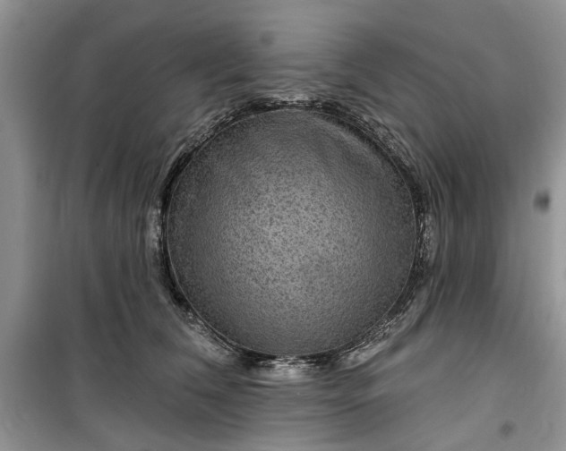 X0000099500612200805291130