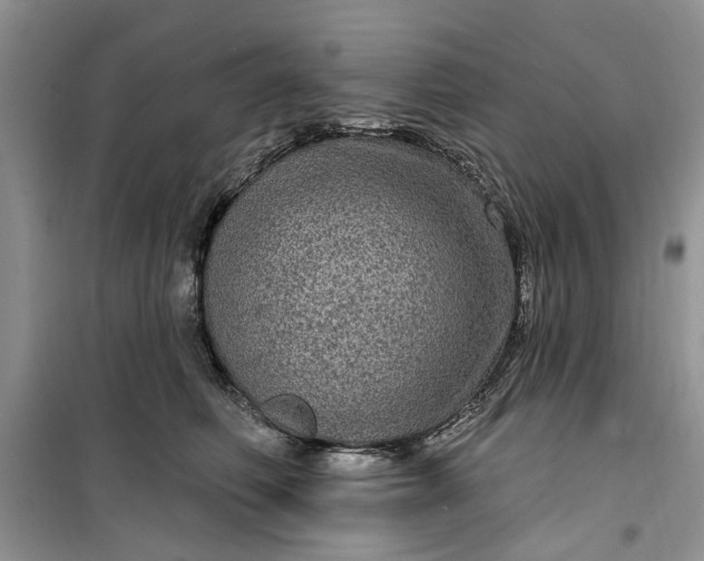 X0000099500614200805291129