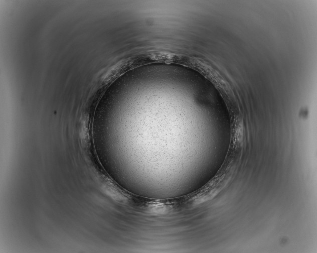 X0000099500616200805291129