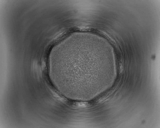 X0000099500618200805291129