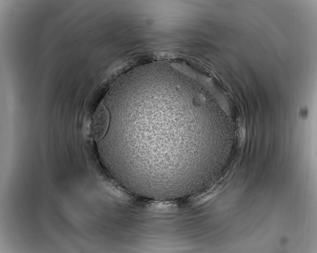 X0000099500619200805291129