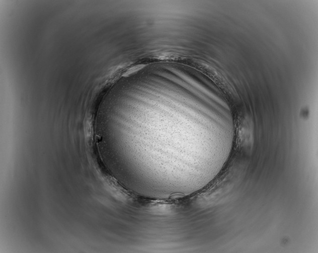 X0000099500620200805291129