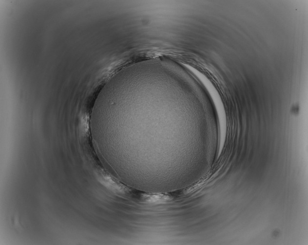 X0000099500621200805291129