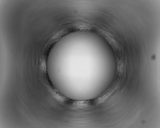 X0000099500622200805291129